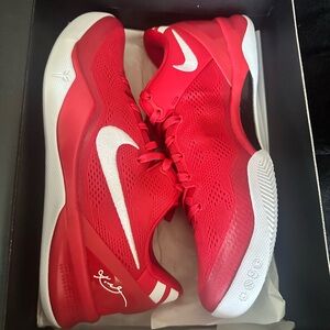 Size 10 Kobe’s 8 Protro DS
